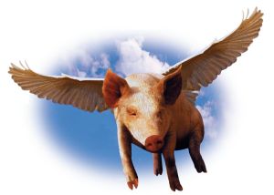 flying-pig