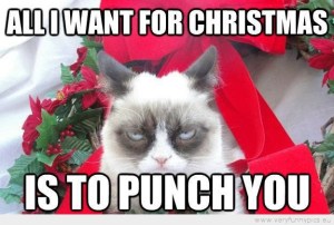 funny-picture-grumpy-cat-all-i-want-for-christmas-is-to-punch-you