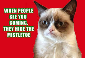 grumpy-cat-christmas-2