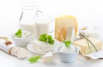 dairy products