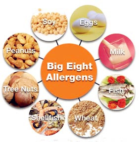 Big Eight Allergens